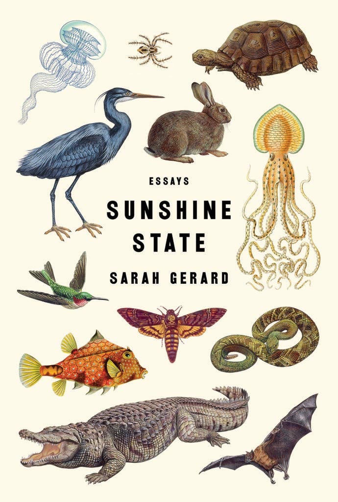 Book cover of Sunshine State