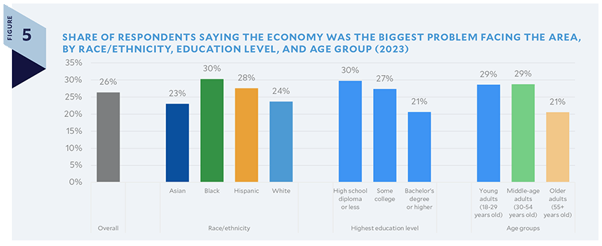 Share Of Respondents Saying The Economy Was The Biggest Problem Facing The Area, By Race/Ethnicity, Education Level, And Age Group (2023)