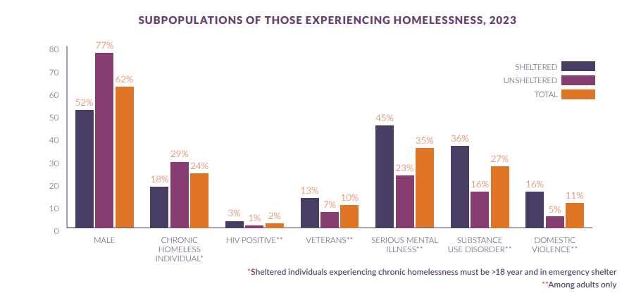 Subpopulations of Those Experiencing Homelessness 2023
