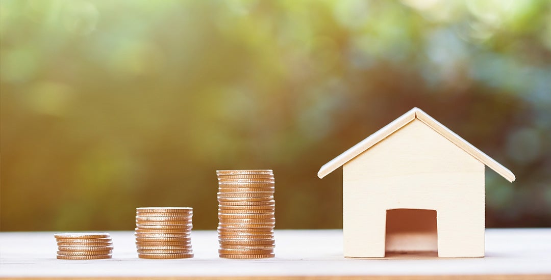 survey snapshot housing