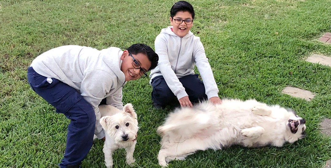 Residents and Pets