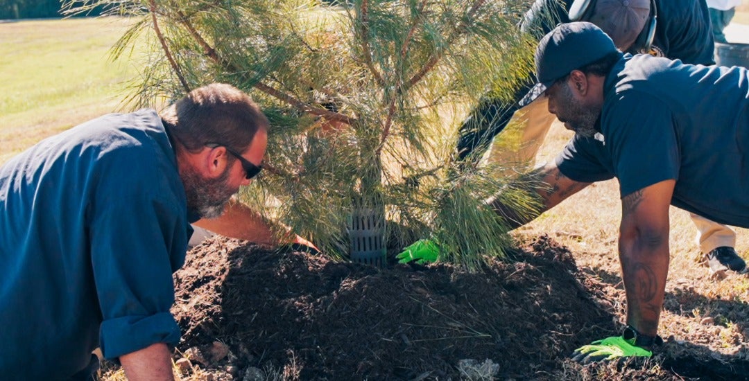 Trees For Houston will look to overcome an array of logistical challenges en route to planting its next million trees.