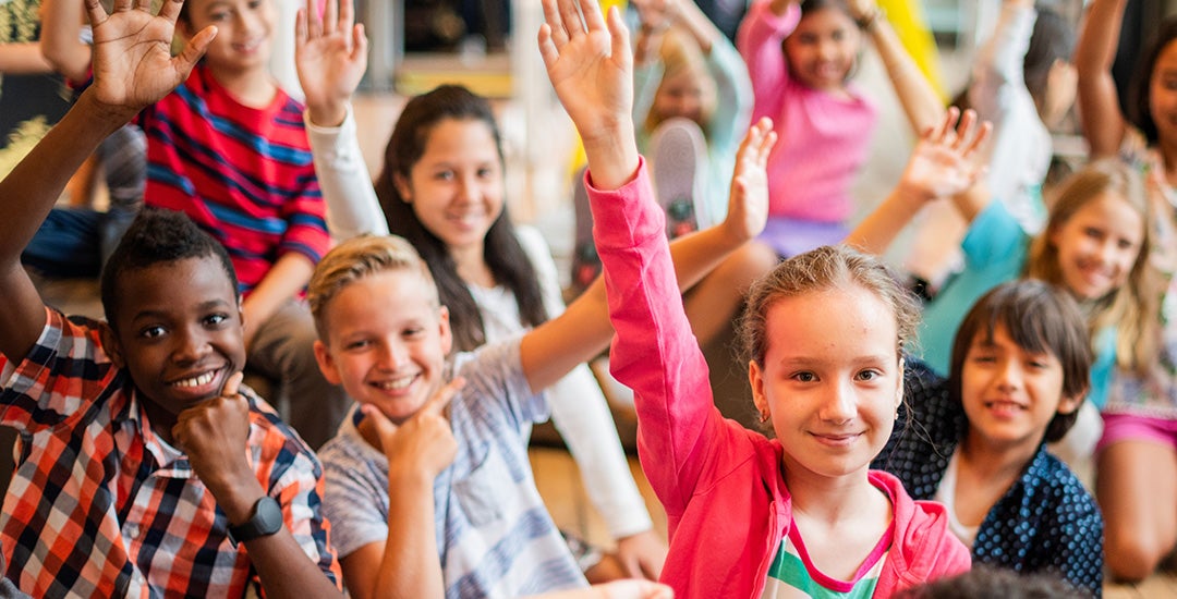 student demographics