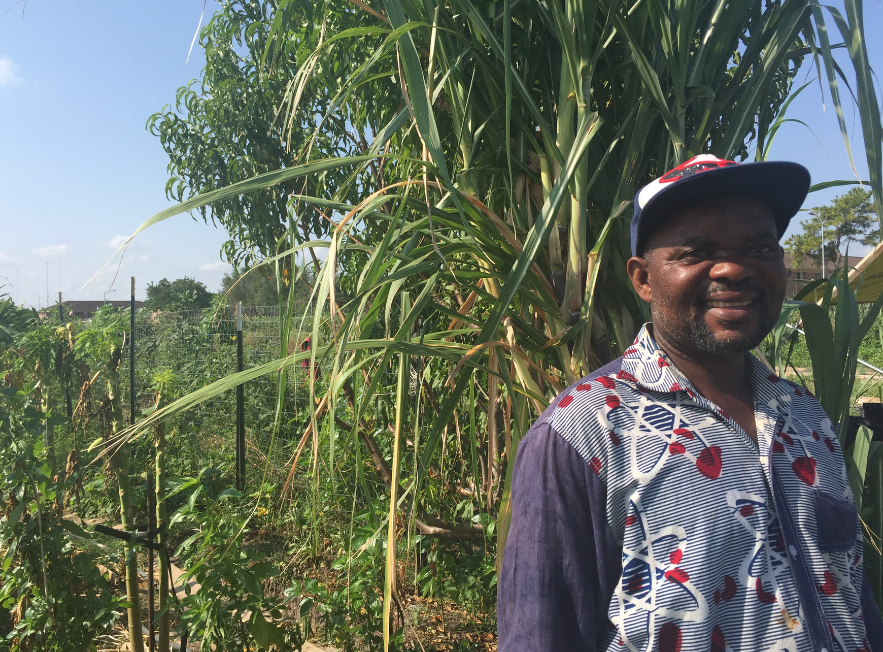 Man smiling in a garden