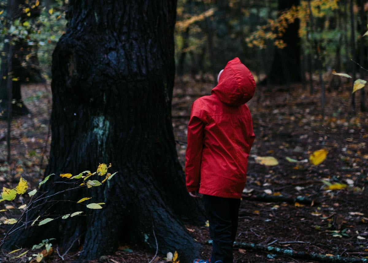 Kid looking at tree