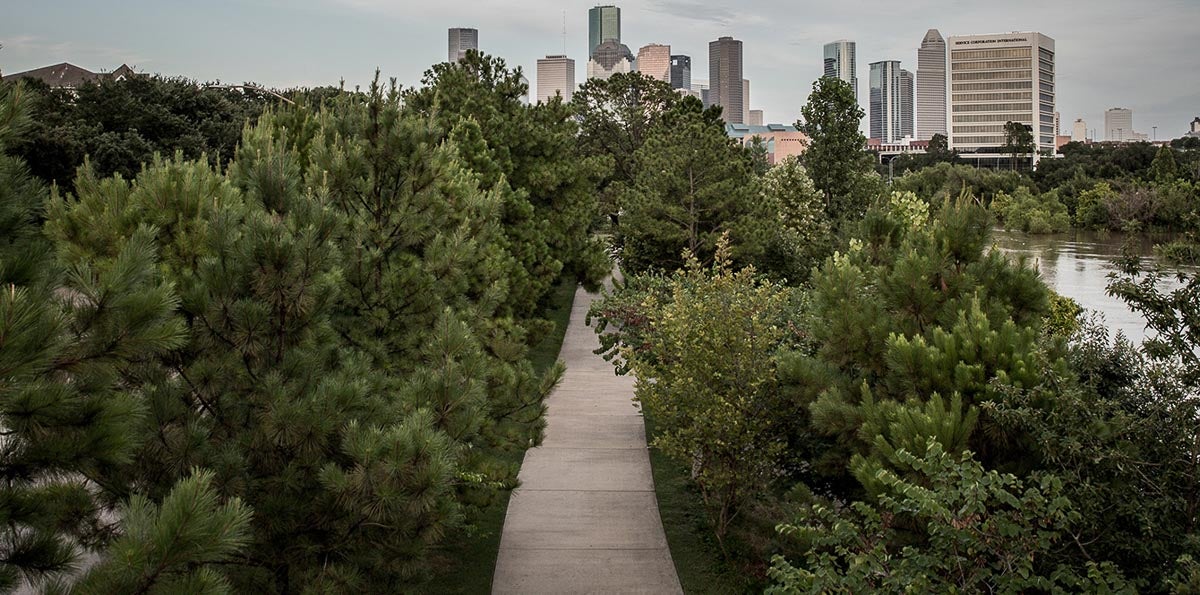 trails along bayou in Houston