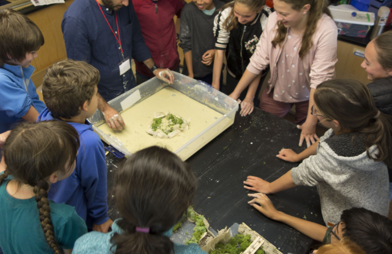 Students at Black Pine Circle School participating in building/testing hyper accretion garden models. Image courtesy of Common Ground.