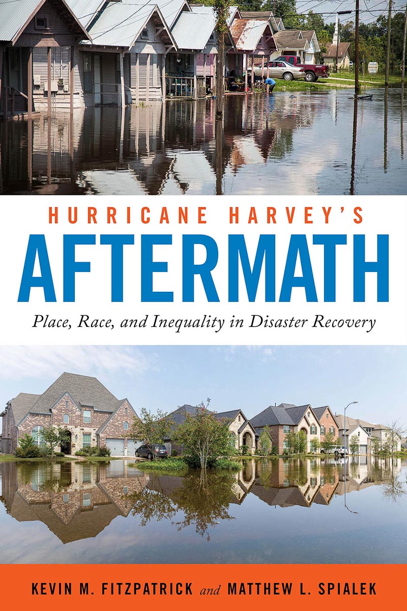 Hurricane Harvey's Aftermath Book Cover