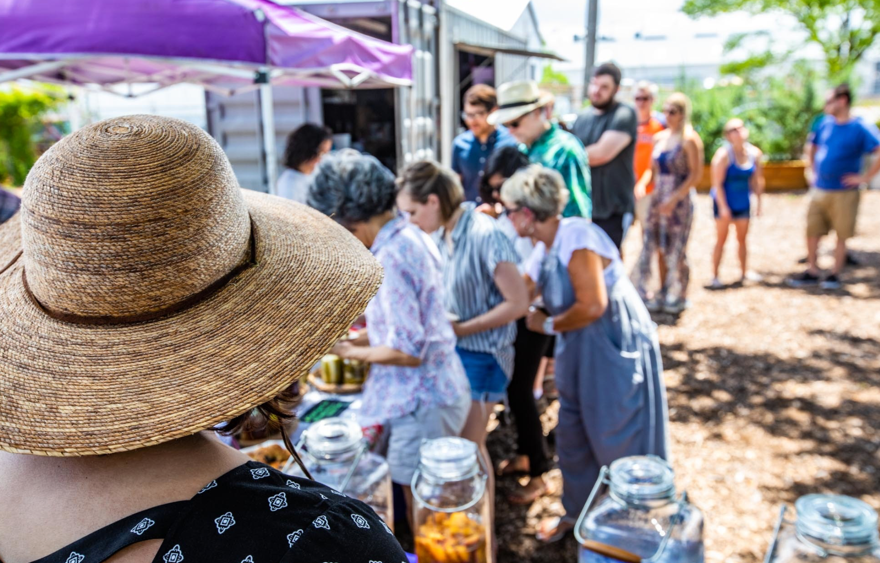 Community gathering at the farm