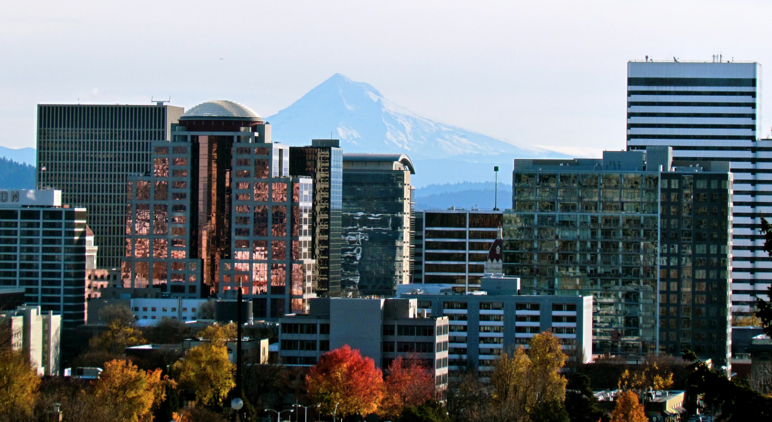 Portland buildings with mountain in background