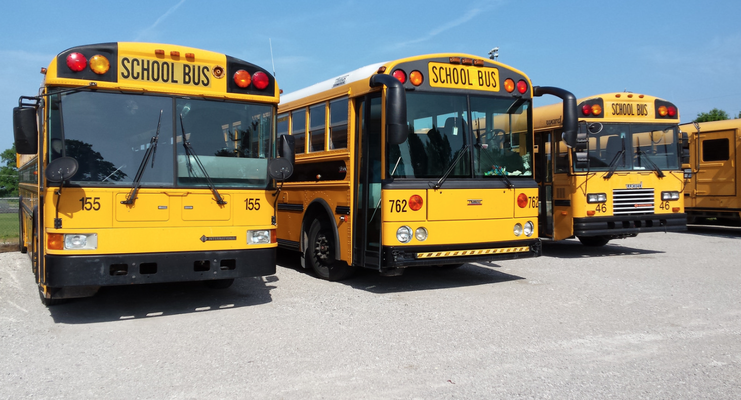 Row of yellow school buses