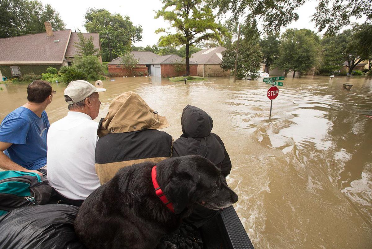People in a boat going through floodwaters