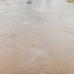Waters of Buffalo Bayou after Harvey