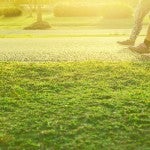 Two people walking on a path