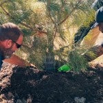 Trees For Houston will look to overcome an array of logistical challenges en route to planting its next million trees.