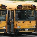 School buses lined up