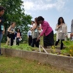 Group of people looking into a garden
