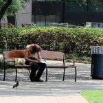 Homeless man on a bench