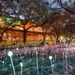 Discovery green art display