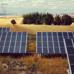 Solar panels in a field