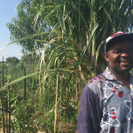 Man smiling in a garden