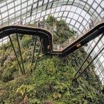 Gardens by the Bay in Singapore
