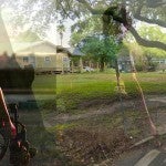 man in wheelchair facing challenges such as overgrown sidewalks