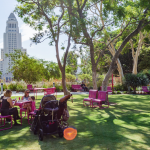 Trees provide shade in front of Los Angeles city hall