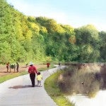 Greens Bayou resiliency plans