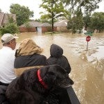 People in a boat going through floodwaters