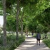 Construction is slated to begin on MacGregor Park in 2026 and be completed by the end of 2028. 
