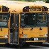 School buses lined up