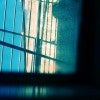 Jail bars through a photo Jail bars through a photo
