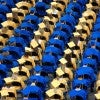 Dozens of graduates sitting in their cap and gowns