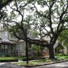 Building a More Resilient Housing System Building a More Resilient Housing System