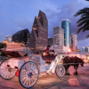 Image of horse drawn carriage in downtown Houston