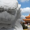 Chinese dragon statue and building