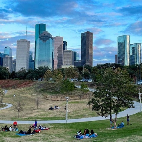 Kinder Houston Area Survey