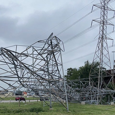 fallen power line