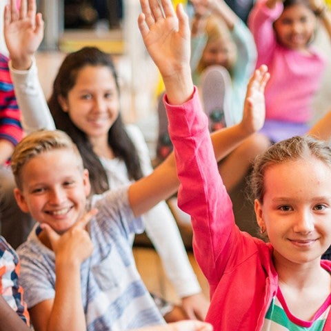 student demographics