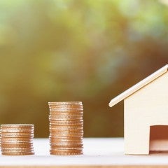 survey snapshot housing
