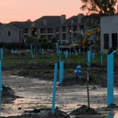 State of Housing cover