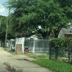 Houston sidewalk in Near Northside