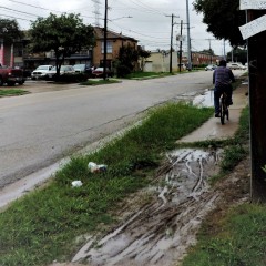 A muddy patch of grass interrupts the sidewalk in Gulfton as a bicyclist navigates onward